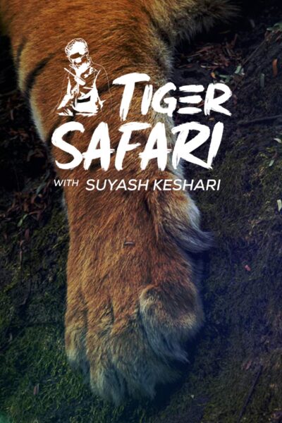 TIgerSafari